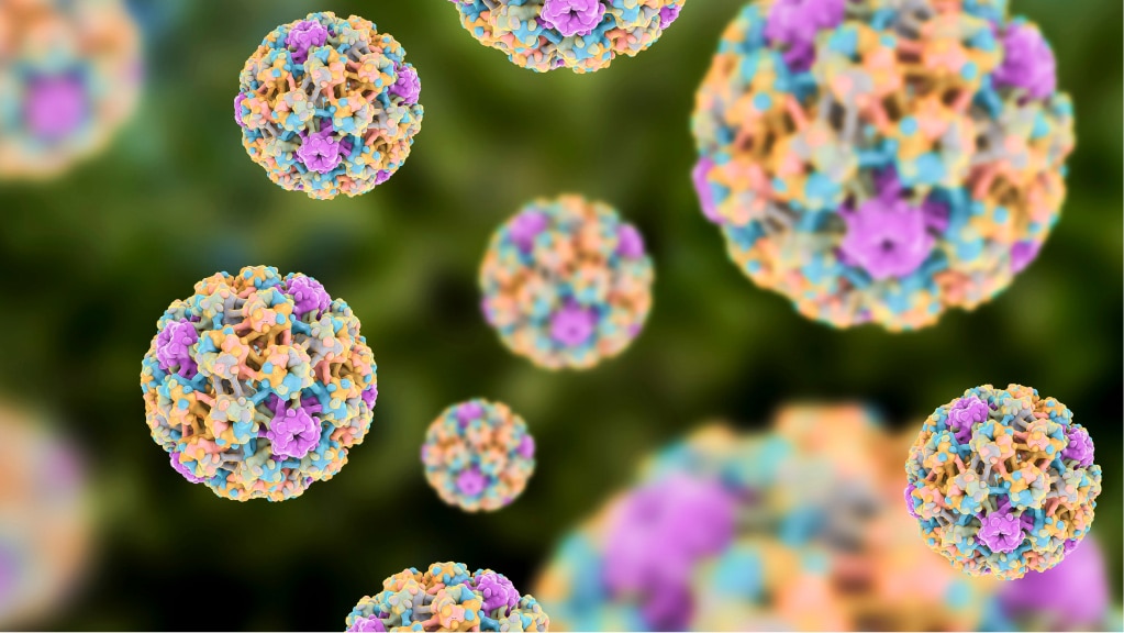 A computer rendering of HPV under a microscope.