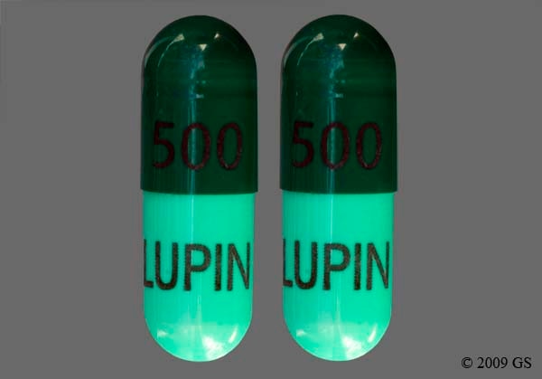 Cephalexin 500 Mg Capsule Cephalexin 500mg Capsules Lupin