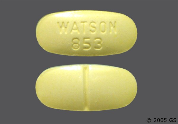 acetaminophen hydrocodone bitartrate watson 853