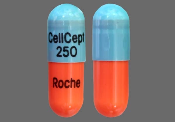 cellcept prescription medication